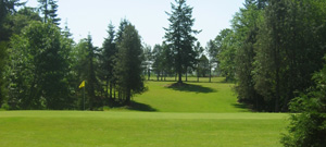 Sandelie Golf Course